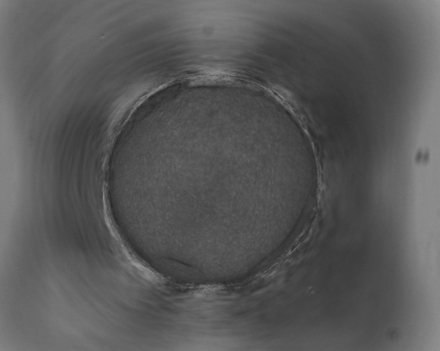X0000111830097200907301330