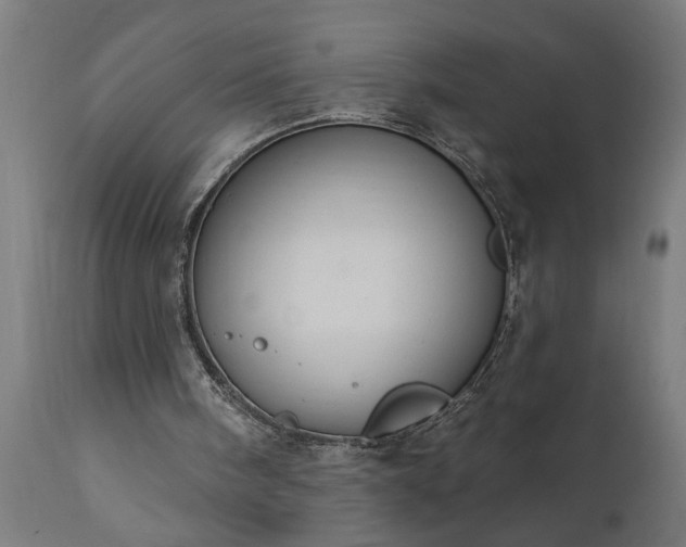 X0000111830098200907301329