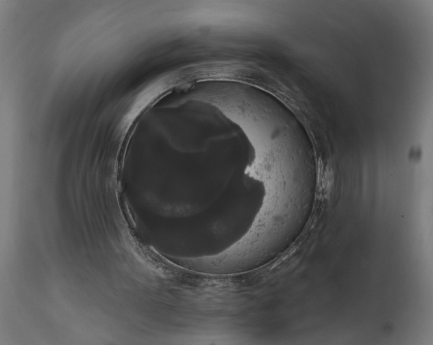 X0000111830099200907301329