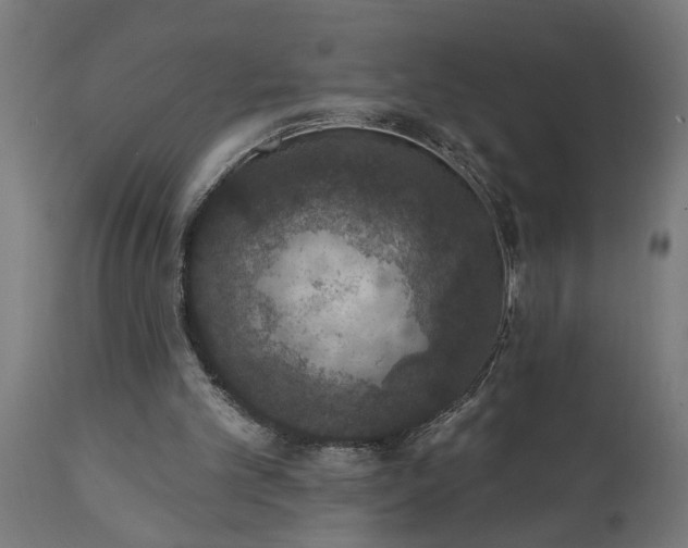 X0000111830101200907301329