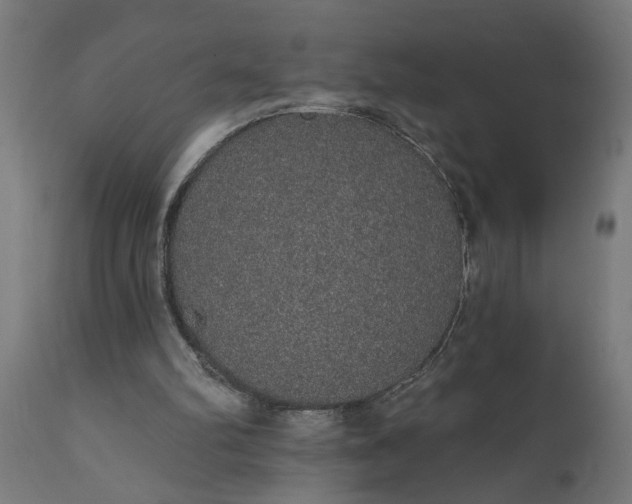 X0000111830102200907301329