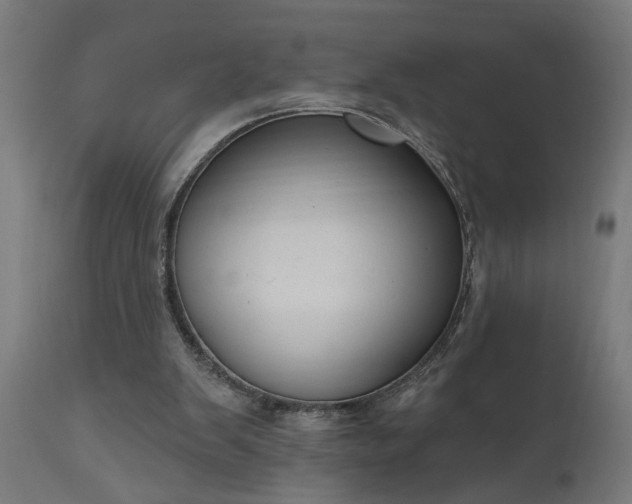 X0000111830103200907301329