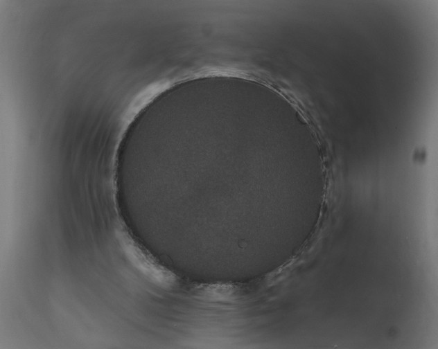 X0000111830104200907301329