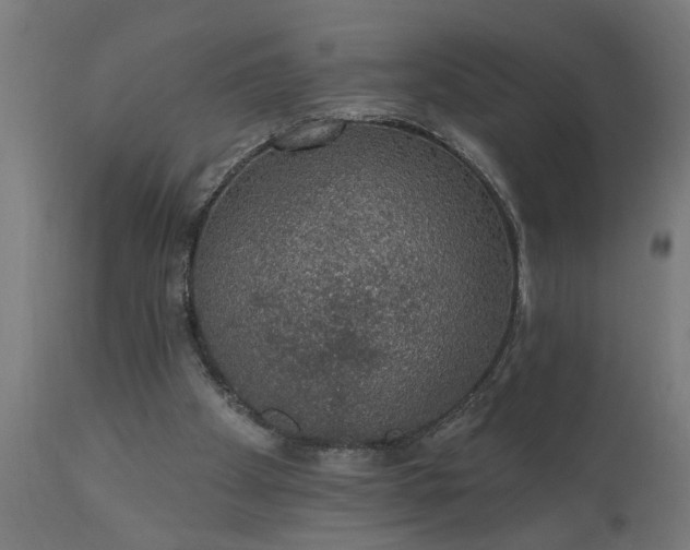 X0000111830105200907301329