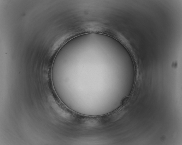 X0000111830106200907301329