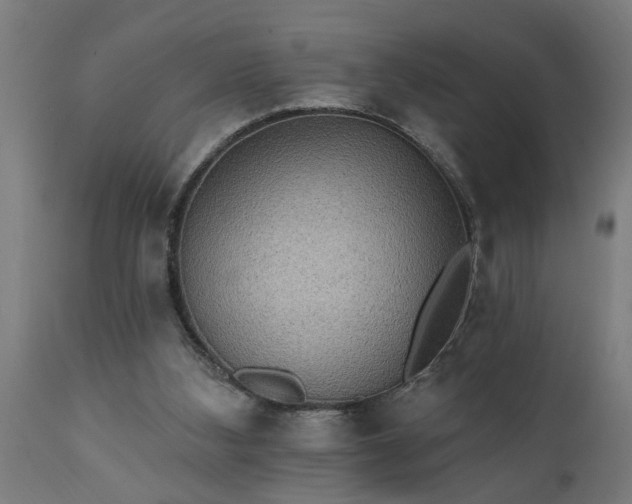 X0000111830108200907301329