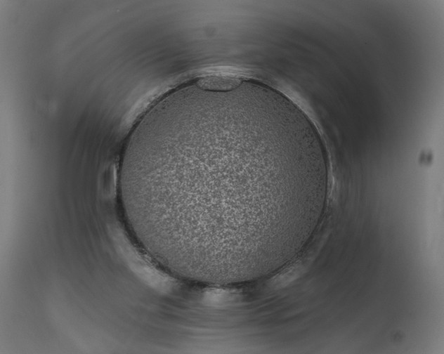 X0000111830109200907301329