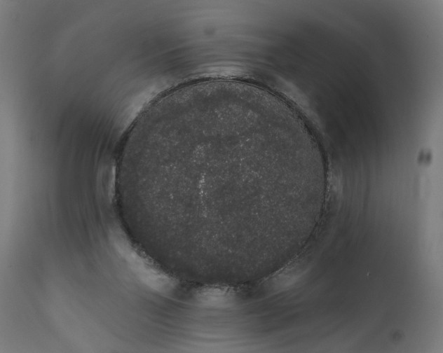 X0000111830110200907301329