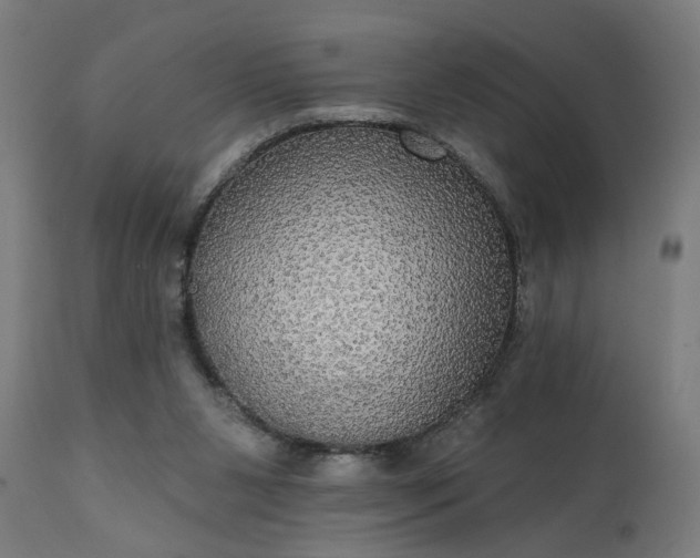 X0000111830111200907301329