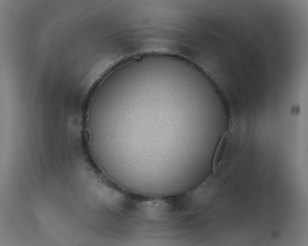X0000111830112200907301329