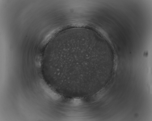 X0000111830114200907301329