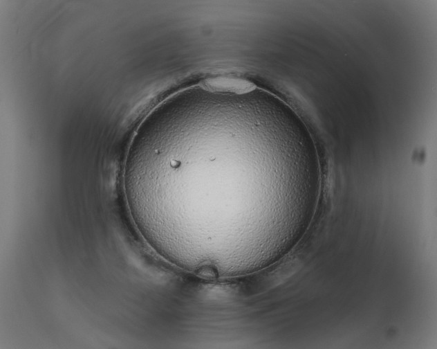 X0000111830115200907301329