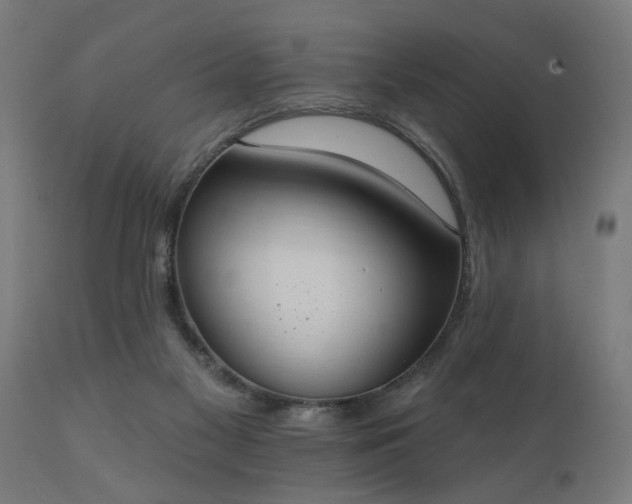 X0000111830117200907301329