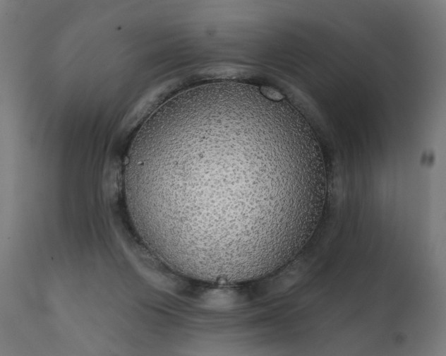 X0000111830119200907301329
