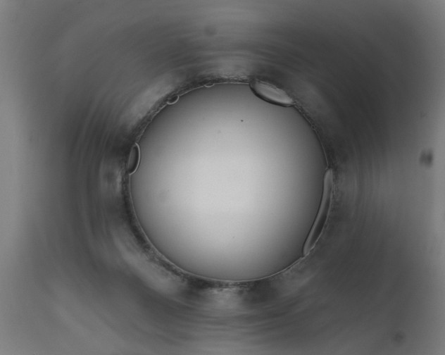 X0000111830120200907301329