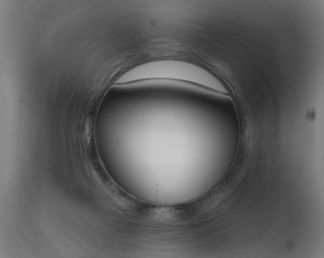 X0000111830121200907301329