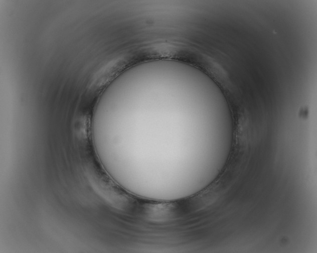 X0000111830122200907301329