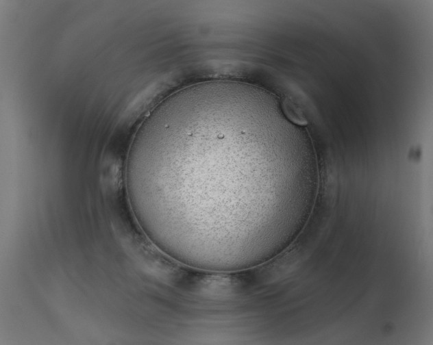 X0000111830123200907301329