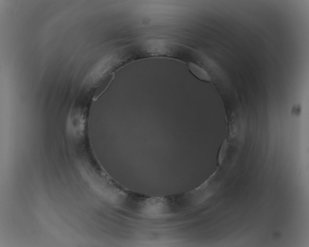 X0000111830124200907301329
