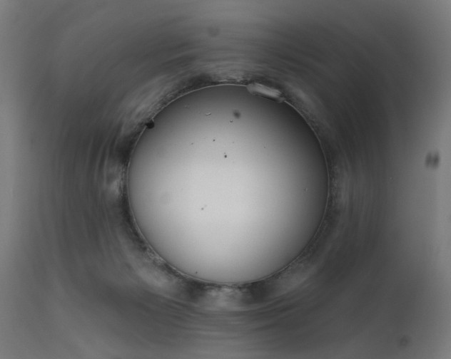X0000111830125200907301329