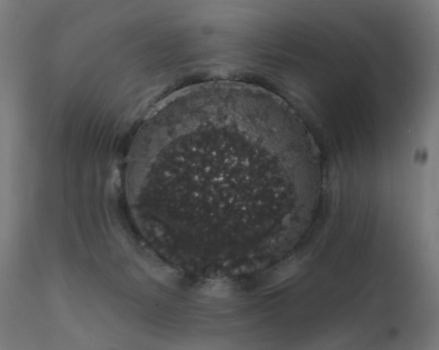 X0000111830127200907301329