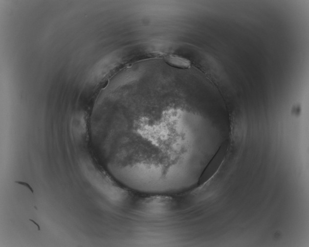 X0000111830128200907301329