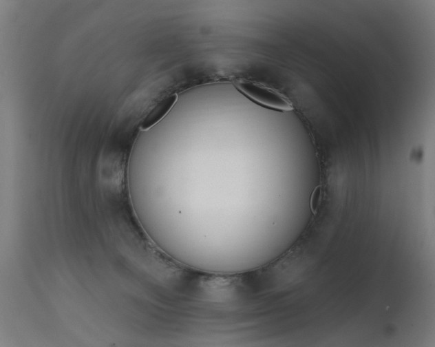 X0000111830129200907301329