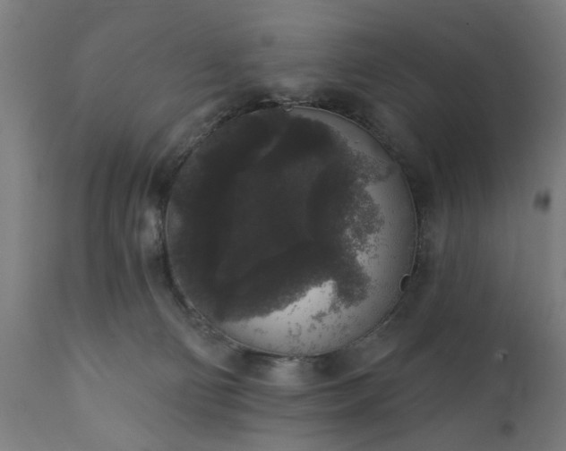 X0000111830130200907301329