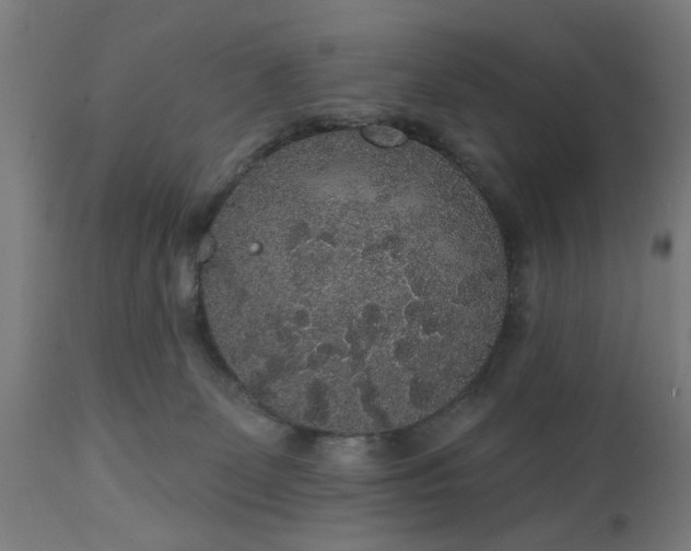 X0000111830131200907301329