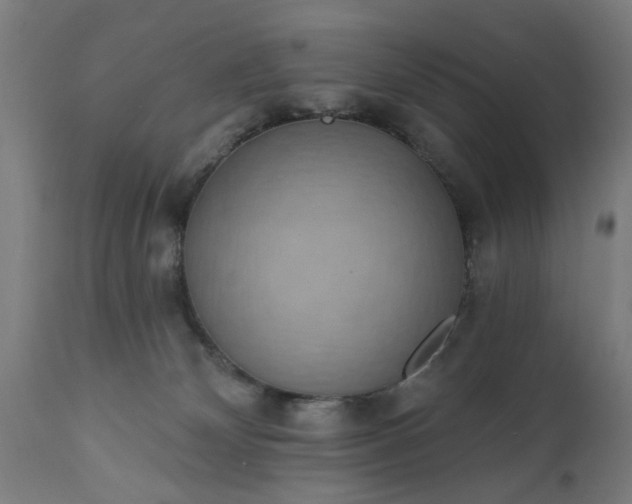 X0000111830132200907301329