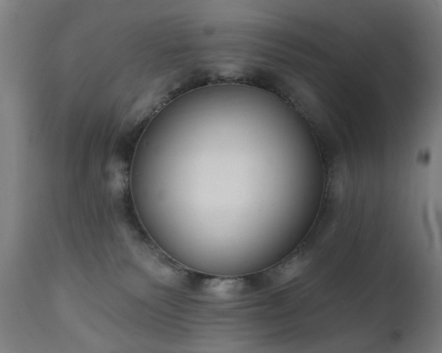 X0000111830135200907301329