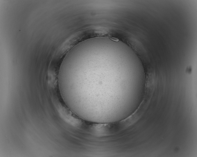 X0000111830136200907301329