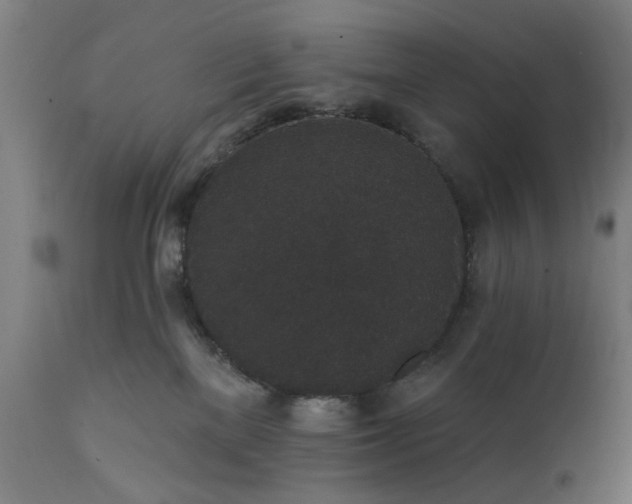 X0000111830137200907301329