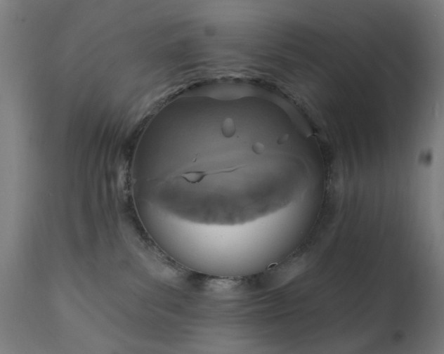 X0000111830139200907301329