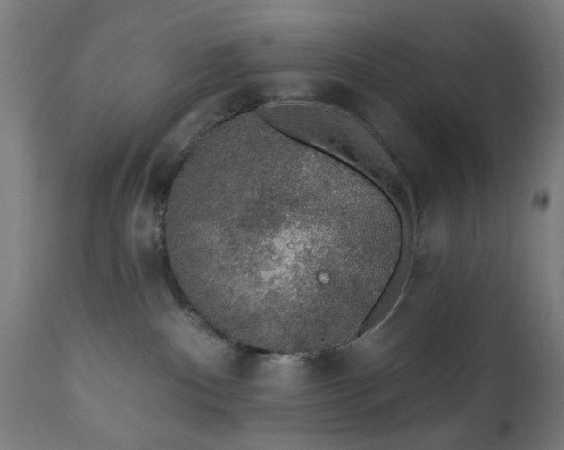 X0000111830140200907301329