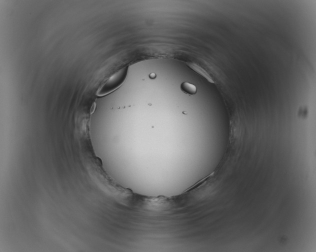 X0000111830141200907301329