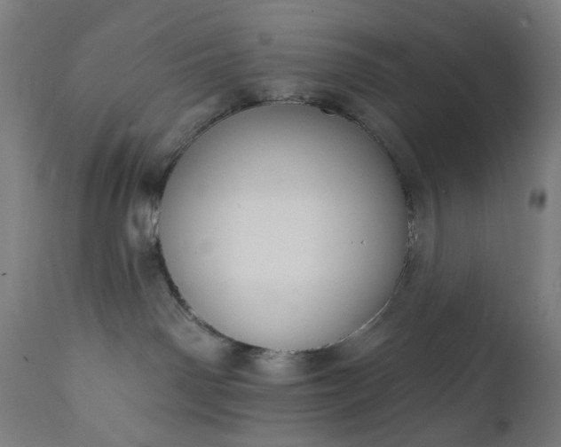 X0000111830142200907301329