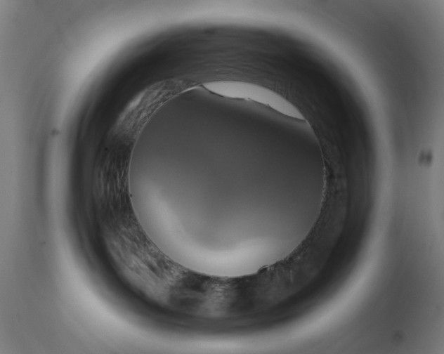 X0000111830143200907301329