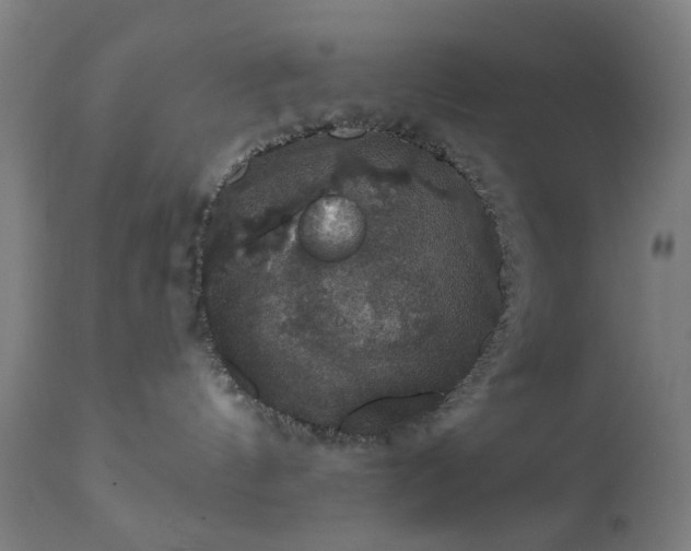 X0000111830144200907301329