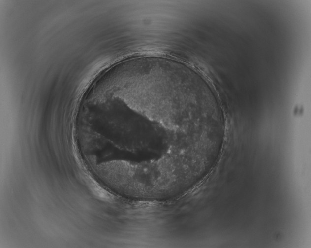 X0000111830145200907301328
