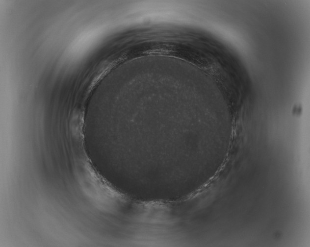 X0000111830146200907301328
