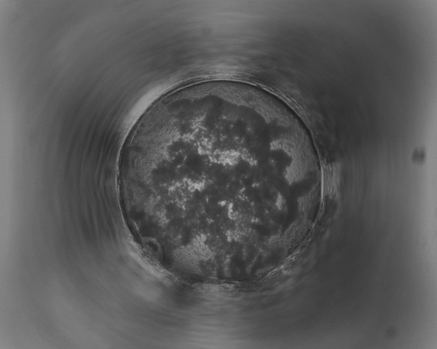 X0000111830147200907301328