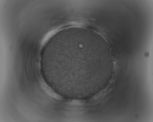 X0000111830149200907301328