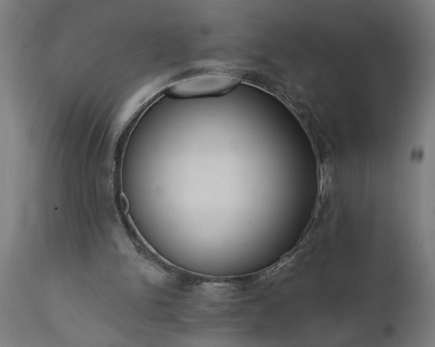 X0000111830150200907301328