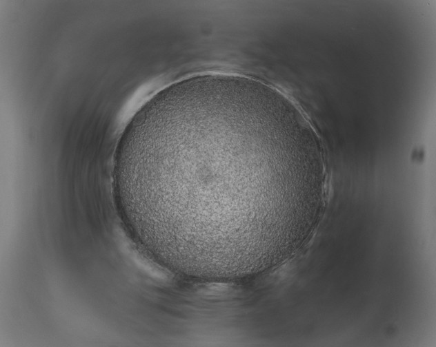 X0000111830151200907301328