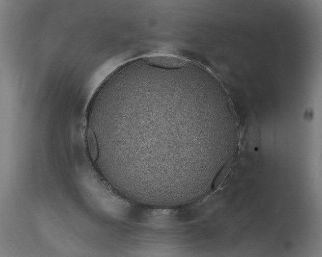 X0000111830152200907301328