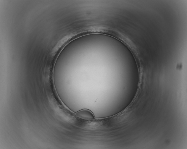 X0000111830155200907301328