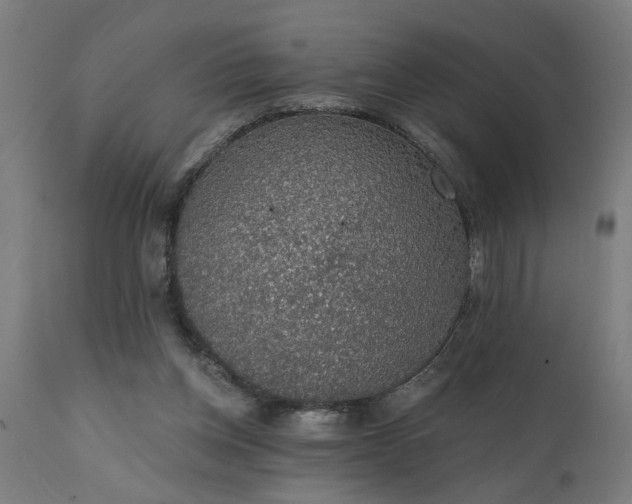 X0000111830158200907301328