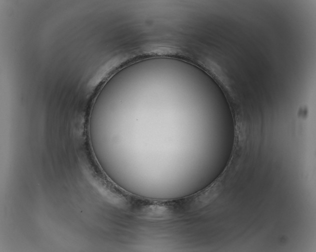 X0000111830159200907301328