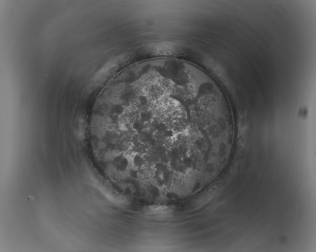 X0000111830161200907301328